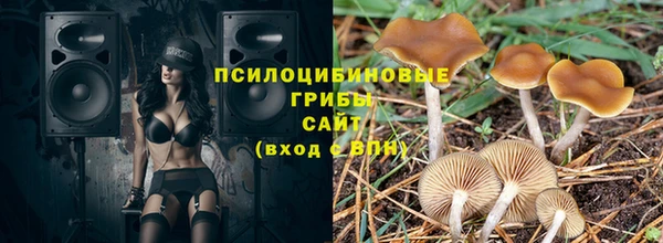 прущие крисы Абинск