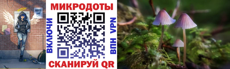 Псилоцибиновые грибы Cubensis  МЕГА ONION  Магадан 