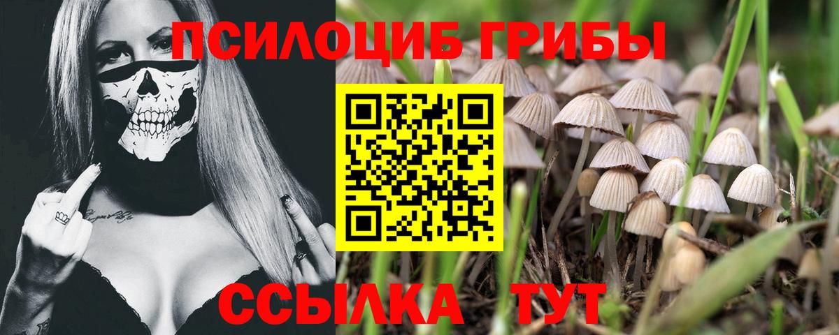 Галлюциногенные грибы прущие грибы Магадан